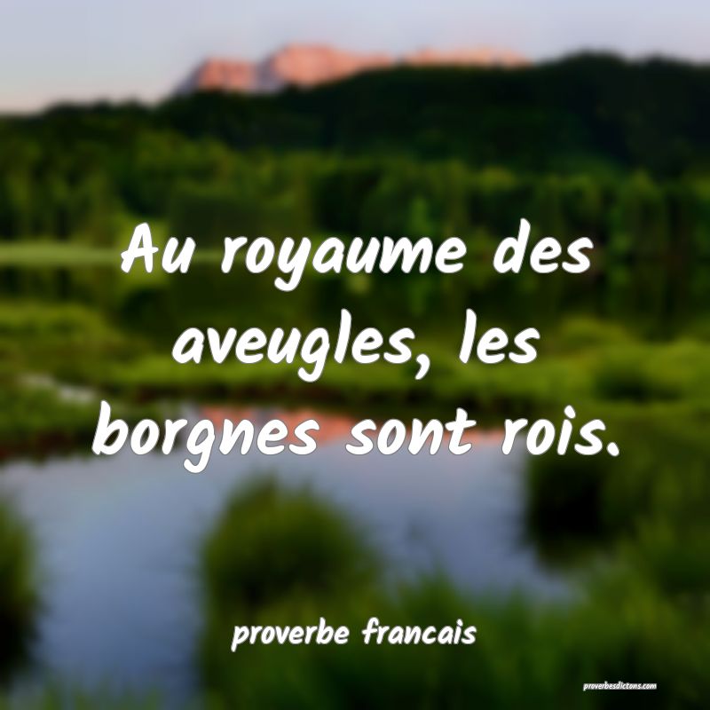 Au Pays Des Aveugles Le Borgne Est Roi