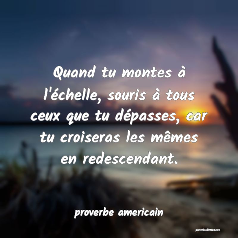 Quand Tu Montes A L Echelle Souris A Tous Ceux