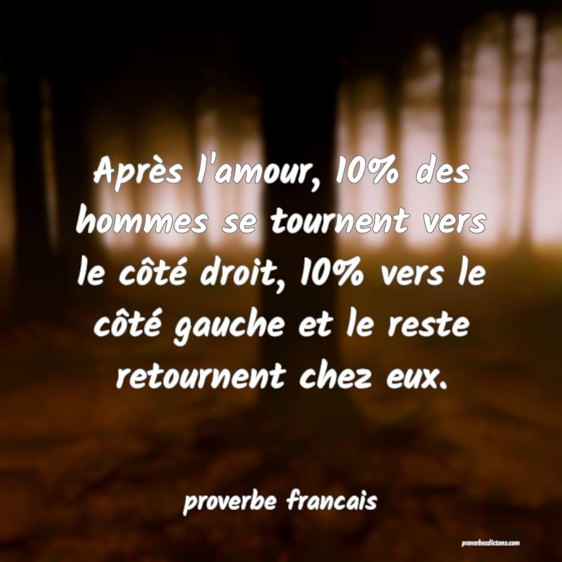 proverbe francais -  Après l'amour, 10% des homme ... 