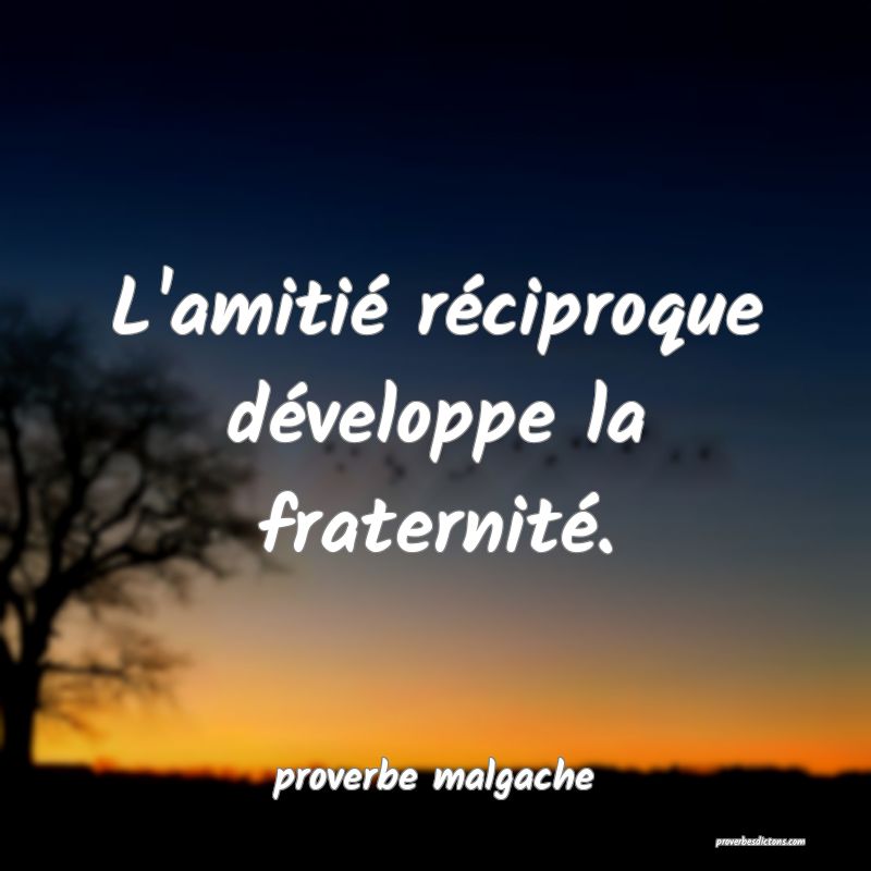 L Amitie Reciproque Developpe La Fraternite