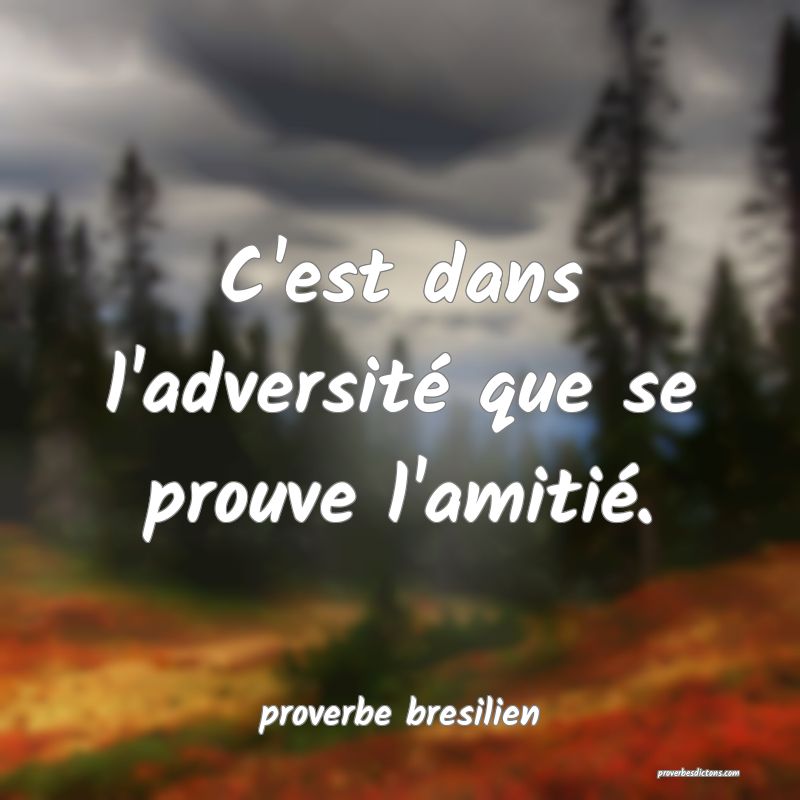 proverbe bresilien -  C'est dans l'adversité que  ... 