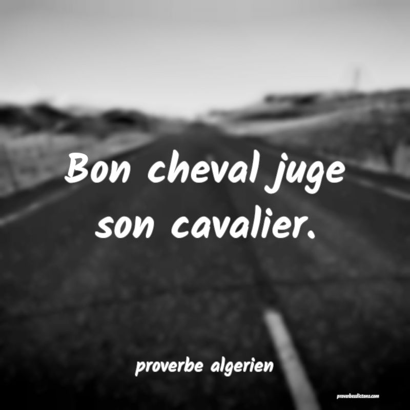 proverbe algerien -  Bon cheval juge son cavalier. ... 