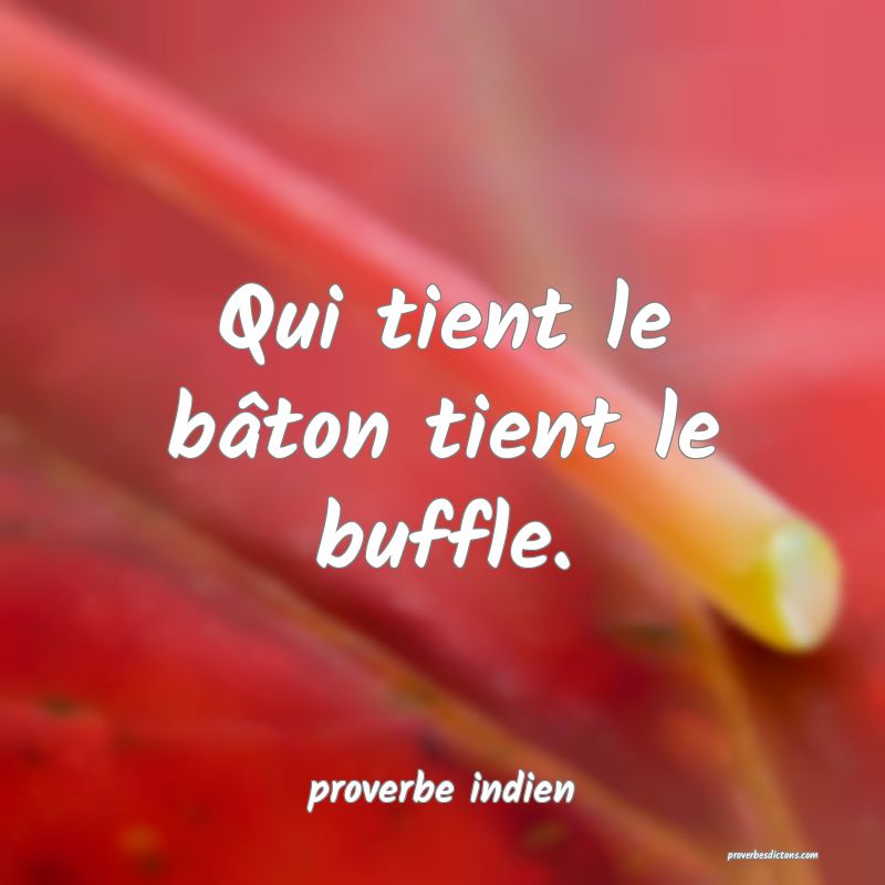  Qui tient le bâton tient le buffle.