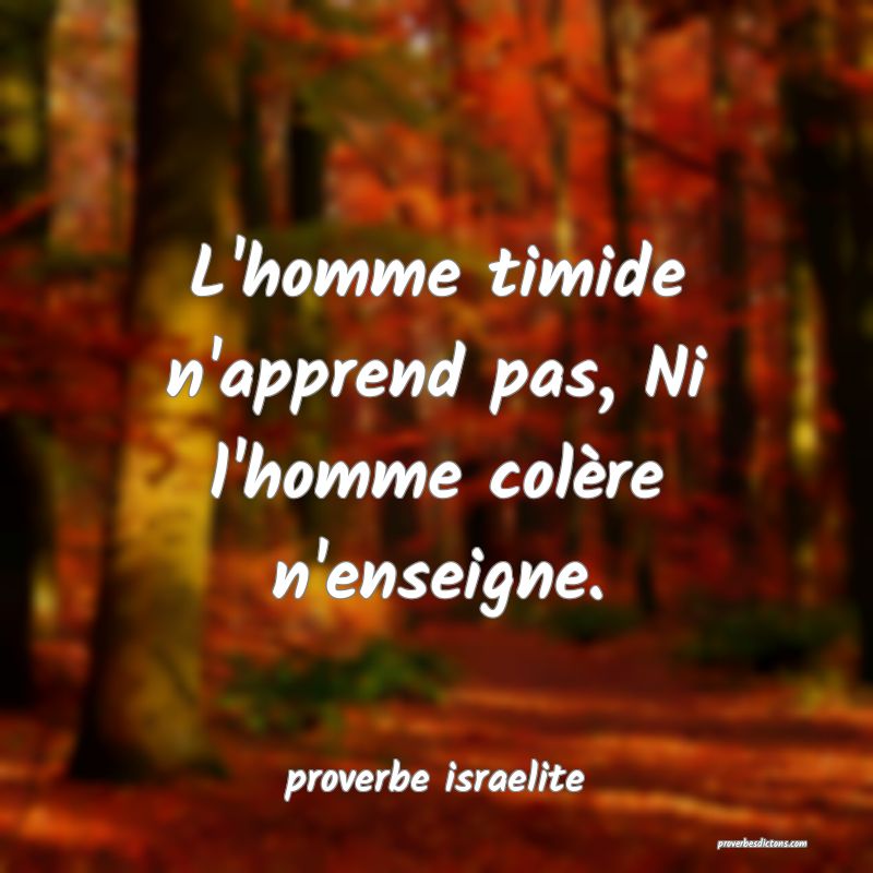 L Homme Timide N Apprend Pas Ni L Homme Colere N