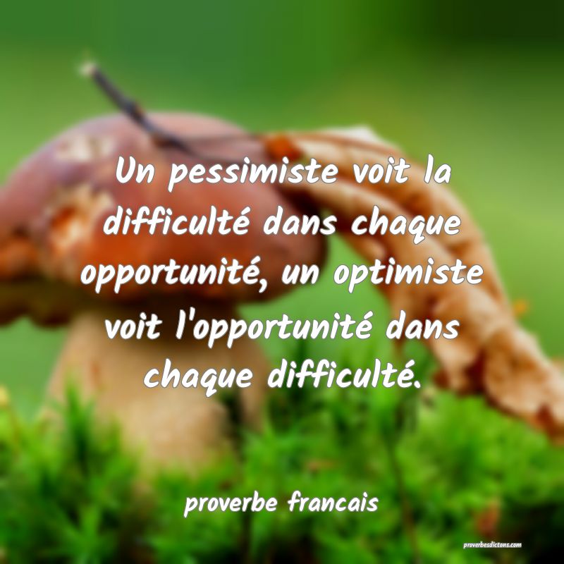 proverbe francais -  Un pessimiste voit la difficu ... 