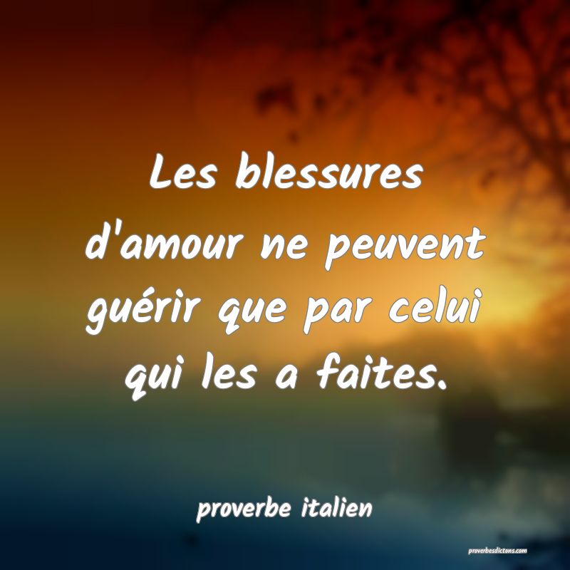 Les Blessures D Amour Ne Peuvent Guerir Que Par C