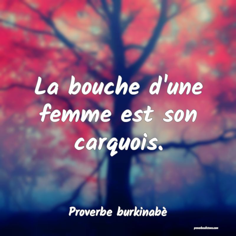Proverbe burkinabè -  La bouche d'une femme est s ... 