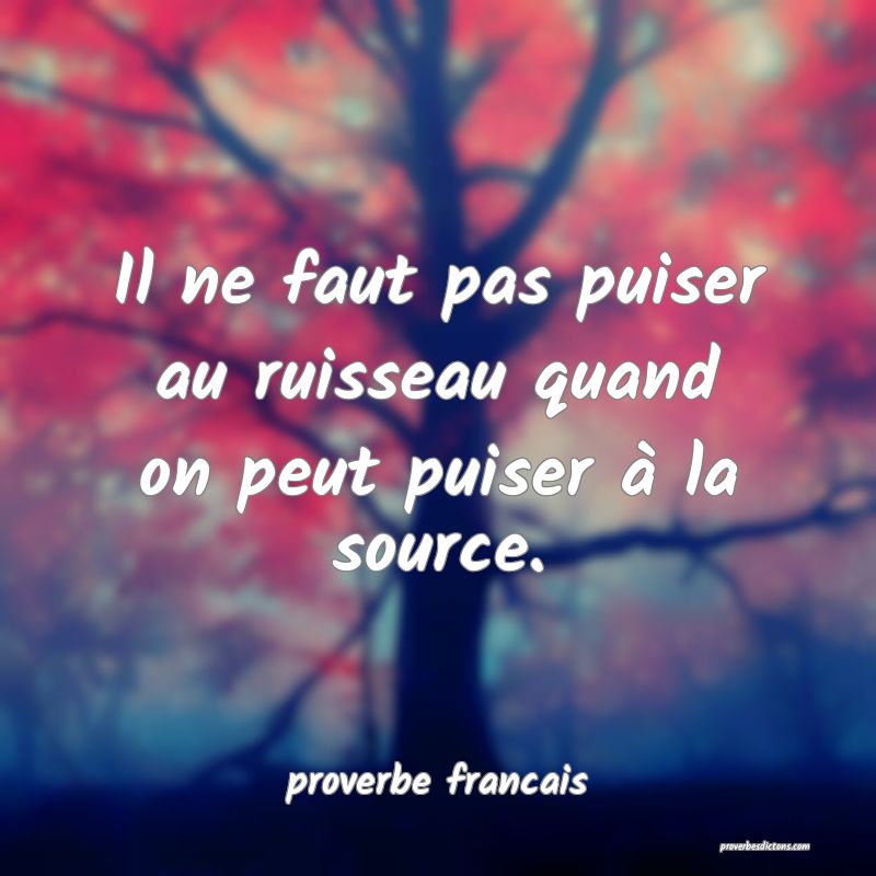  Il ne faut pas puiser au ruisseau quand on peut puiser à la source.
