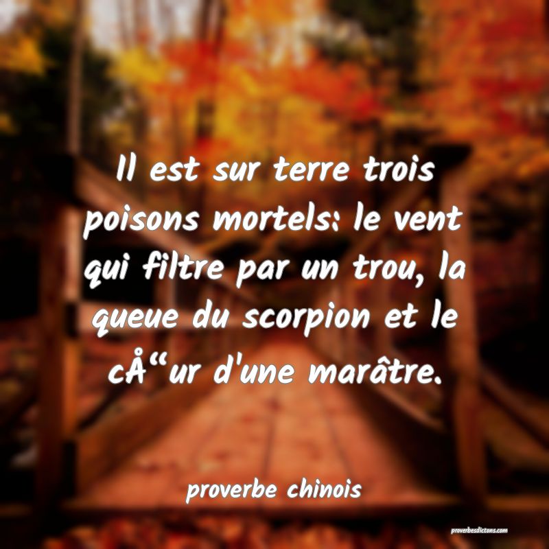  Il est sur terre trois poisons mortels: le vent qui filtre par un trou, la queue du scorpion et le cÅur d'une marâtre.