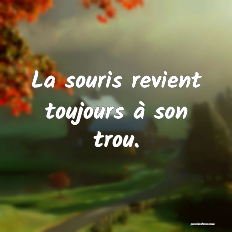 On Revient Toujours A Ses Premieres Amours