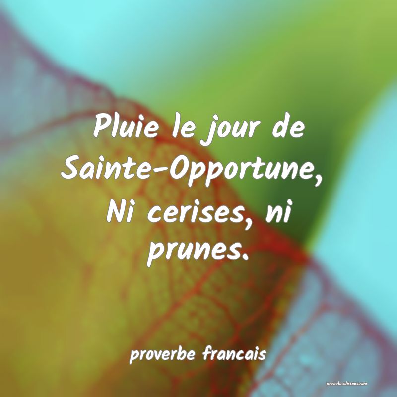 proverbe francais - Pluie le jour de Sainte-Opport ... 