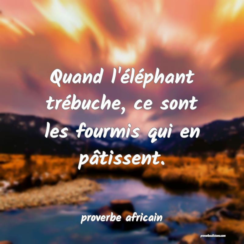 proverbe africain - Quand l'éléphant trébuche,  ... 