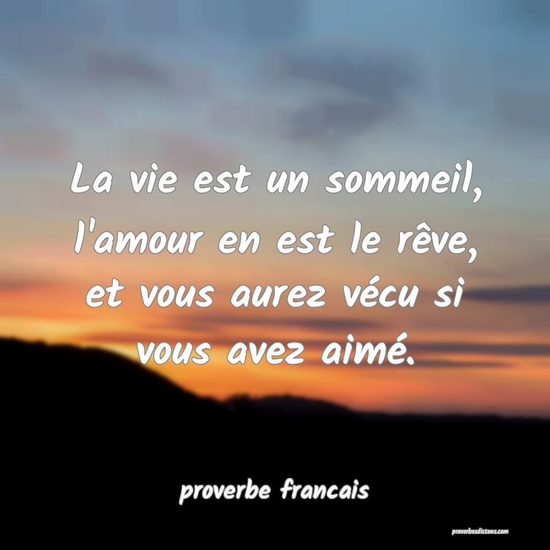 proverbe francais -  La vie est un sommeil, l'amou ... 