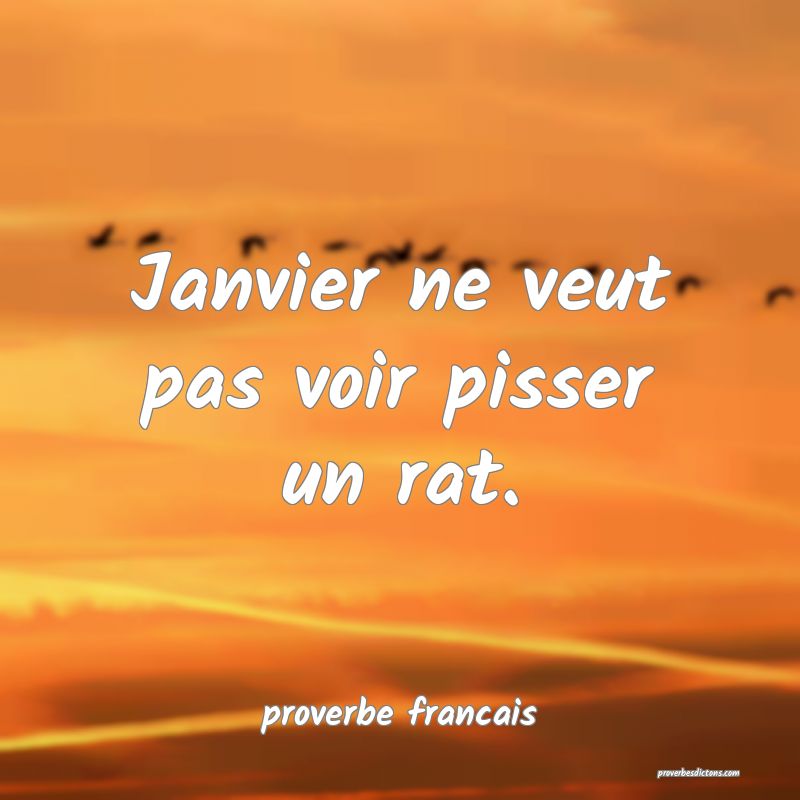 Janvier Ne Veut Pas Voir Pisser Un Rat