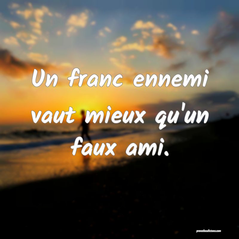 Un Franc Ennemi Vaut Mieux Qu Un Faux Ami