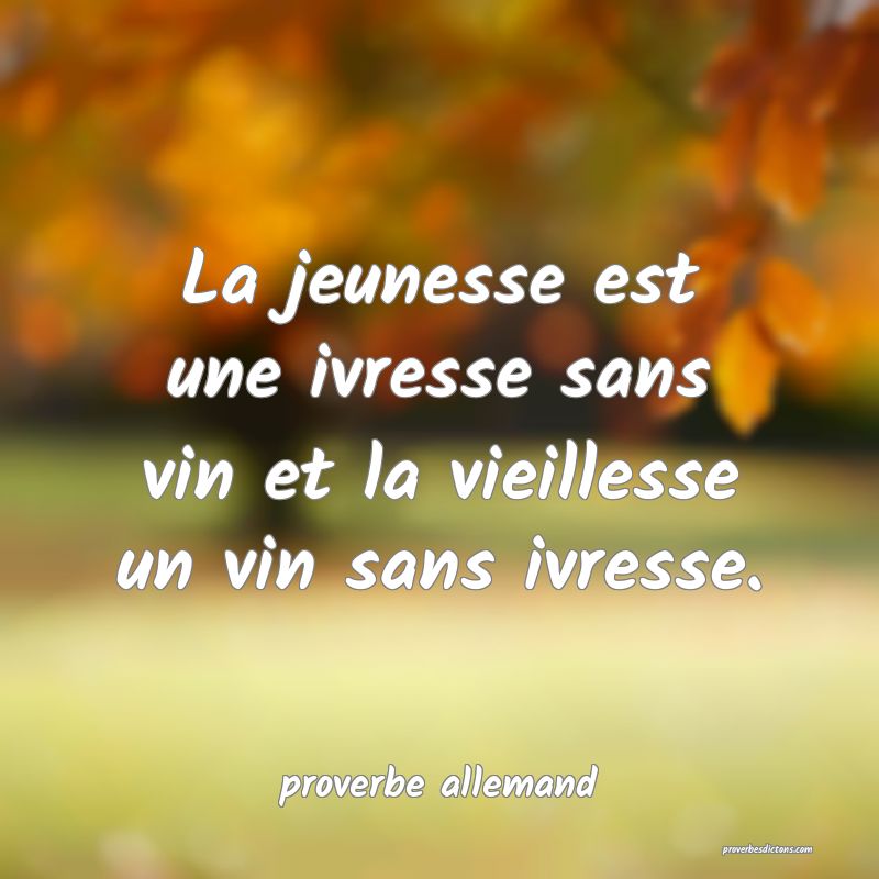 La jeunesse est une ivresse sans vin et la vieille...