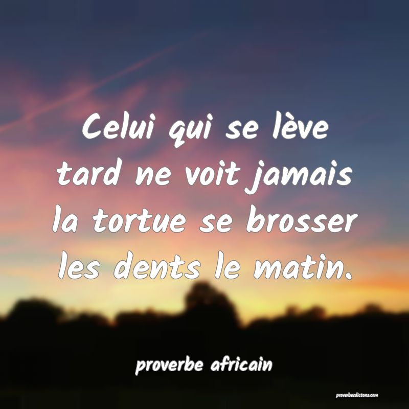 proverbe africain - Celui qui se lève tard ne voi ... 