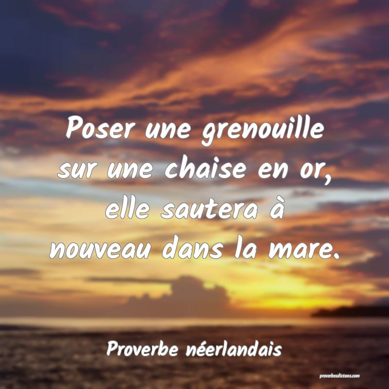 Proverbe Neerlandais