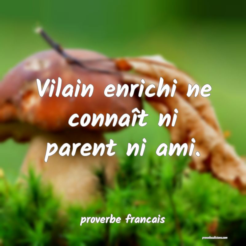 proverbe francais - Vilain enrichi ne connaît ni  ... 