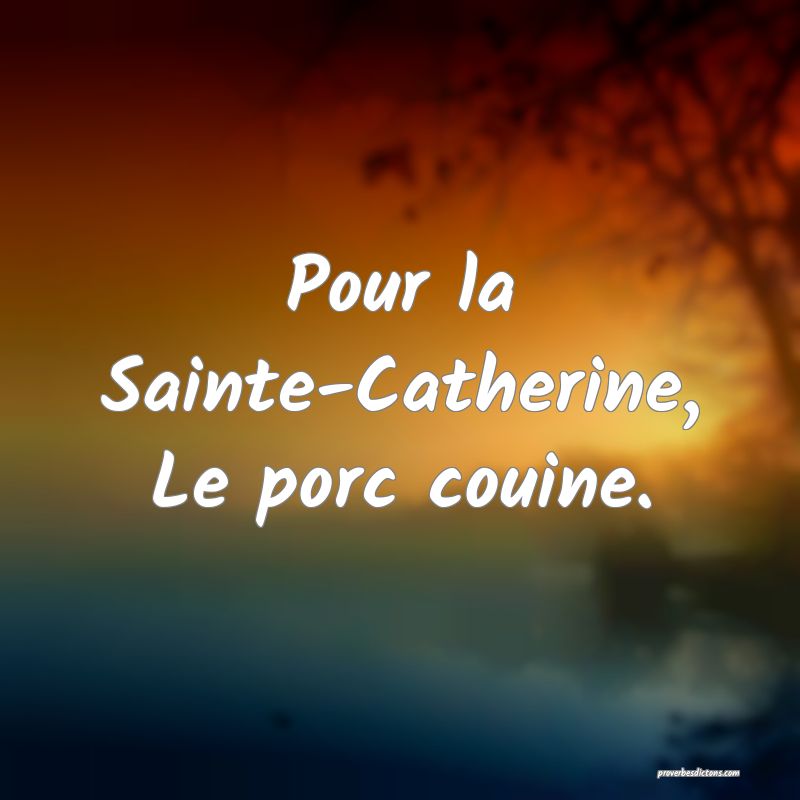 Pour la Sainte-Catherine,
Le porc couine.