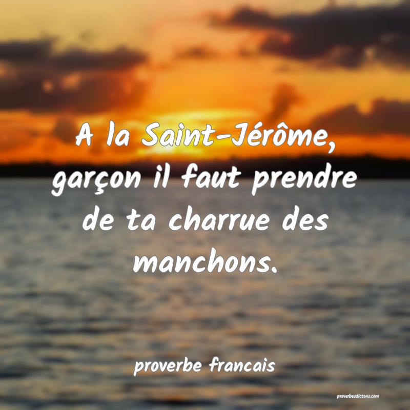 A la Saint-Jérôme, garçon il faut prendre de ta charrue des manchons.