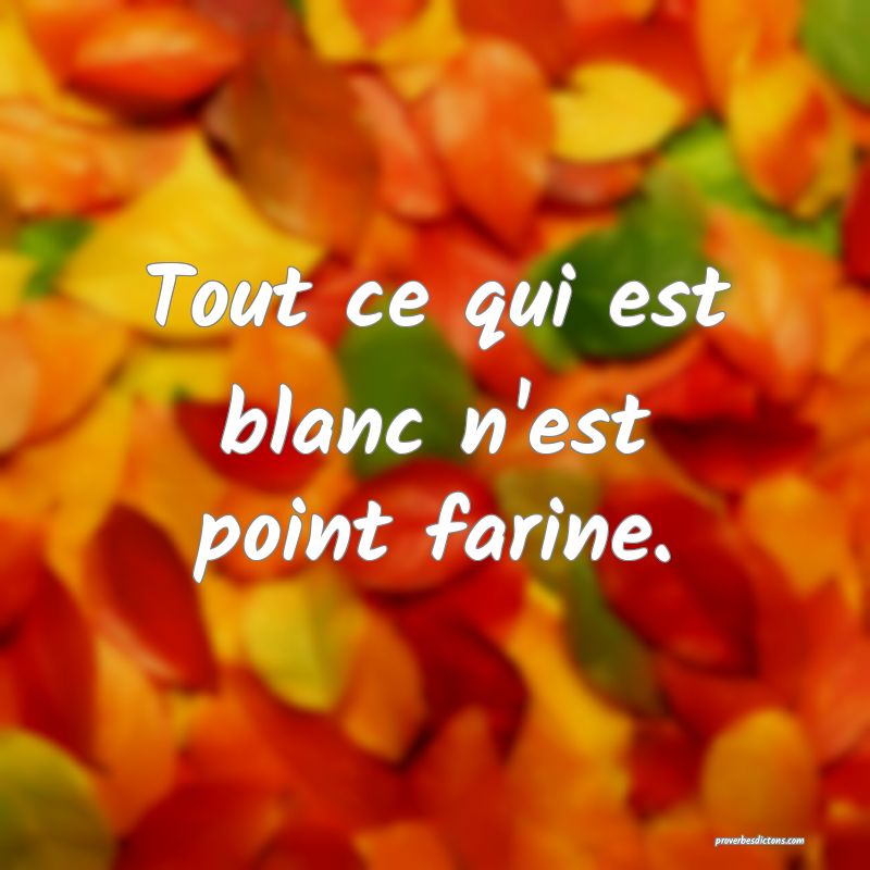 Tout ce qui est blanc n'est point farine.