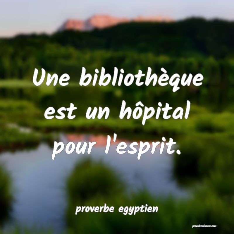 Une bibliothèque est un hôpital pour l'esprit.