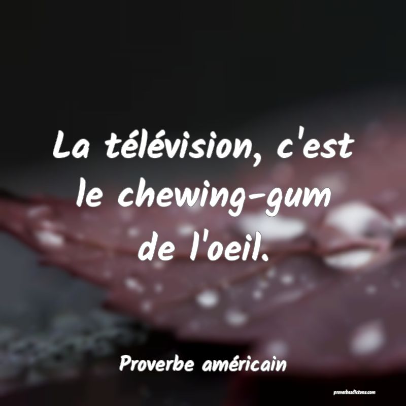 La télévision, c'est le chewing-gum de l'oeil.