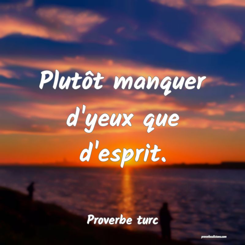 Plutôt manquer d'yeux que d'esprit.