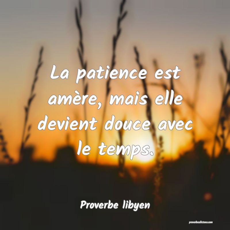 La patience est amère, mais elle devient douce avec le temps.
