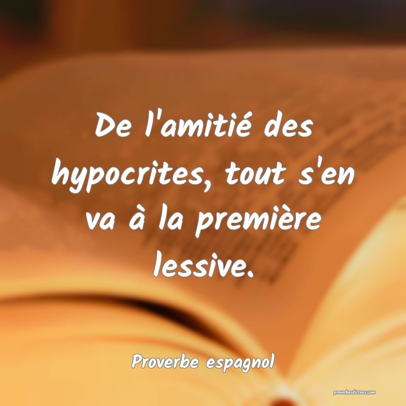 De l'amitié des hypocrites, tout s'en va à la première lessive.