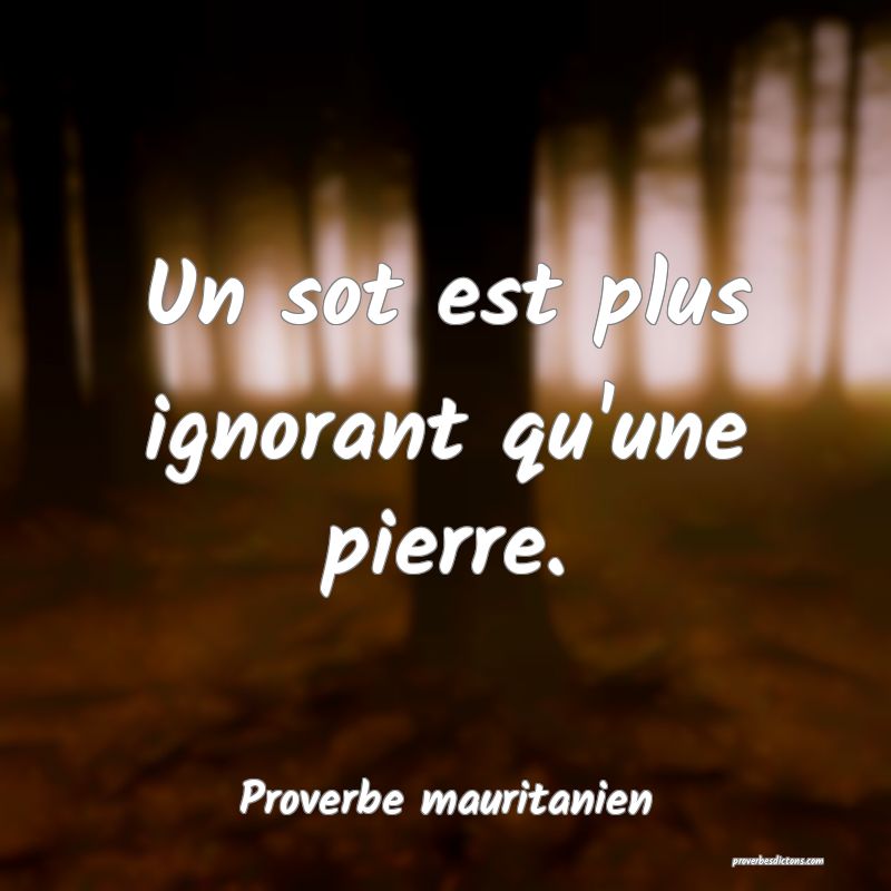 Un sot est plus ignorant qu'une pierre.