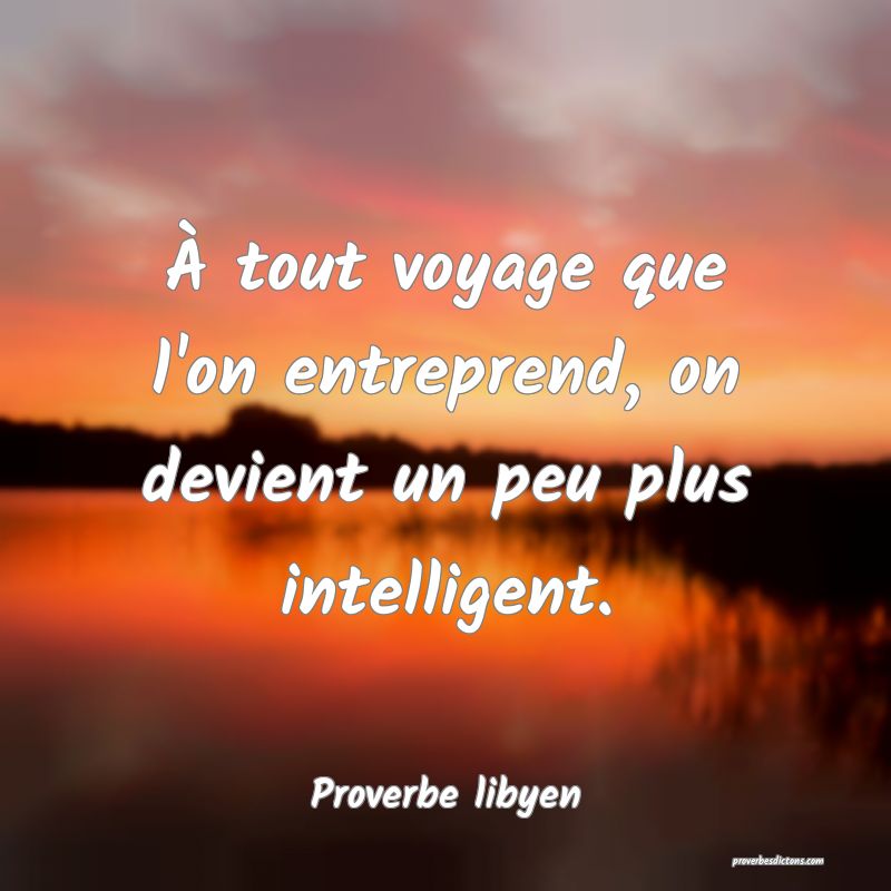 À tout voyage que l'on entreprend, on devient un peu plus intelligent.