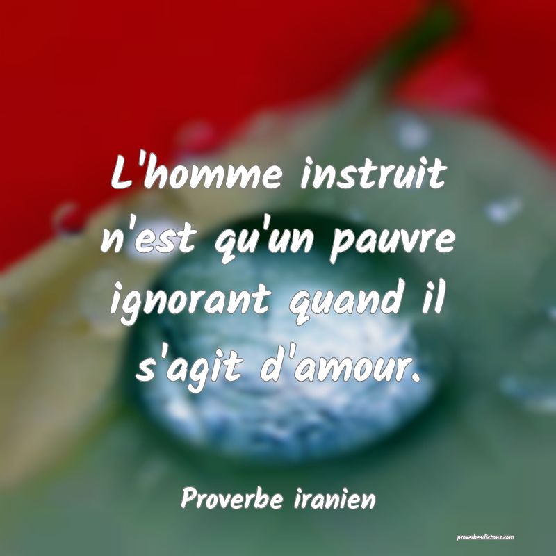 L'homme instruit n'est qu'un pauvre ignorant quand il s'agit d'amour.