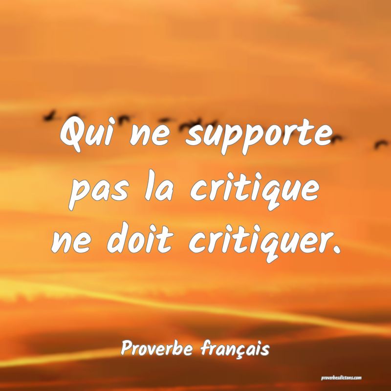 Qui ne supporte pas la critique ne doit critiquer.