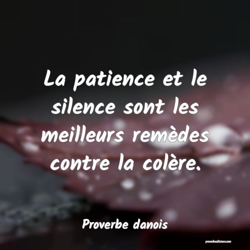 La patience et le silence sont les meilleurs remèdes contre la colère.
