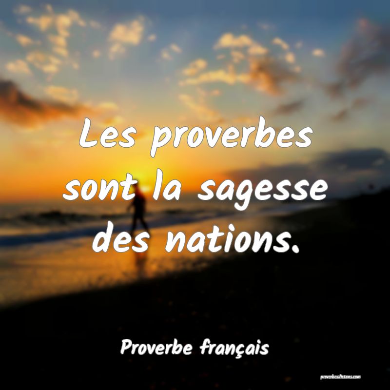 Les proverbes sont la sagesse des nations.