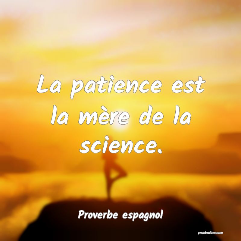 La patience est la mère de la science.
