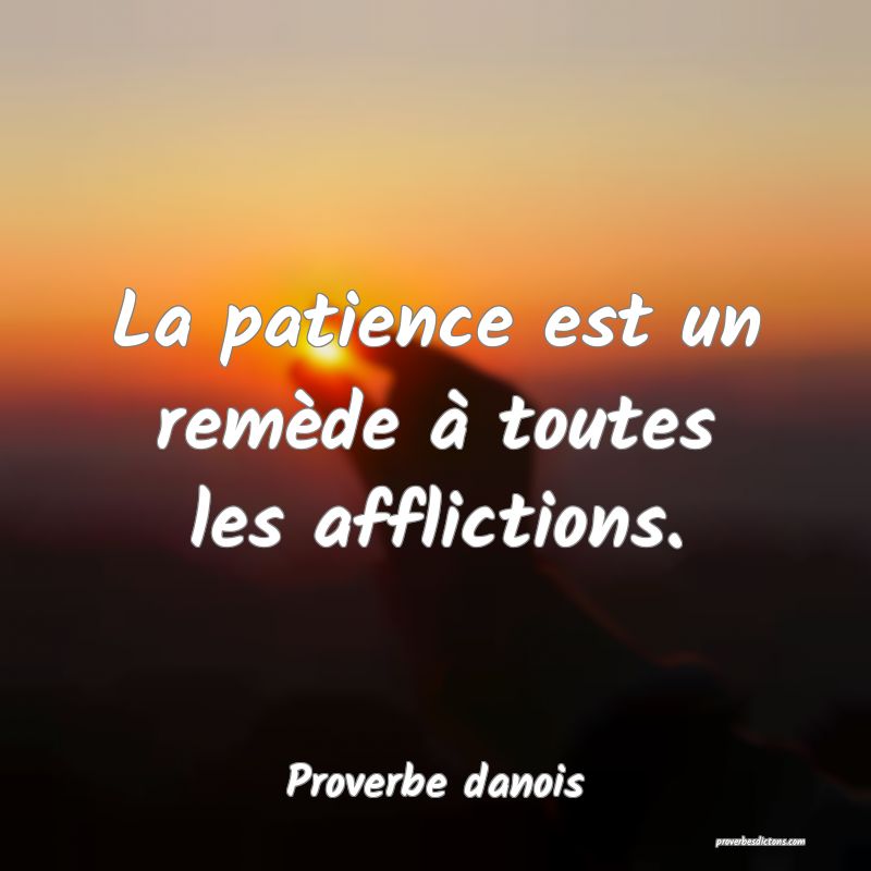 La patience est un remède à toutes les afflictions.