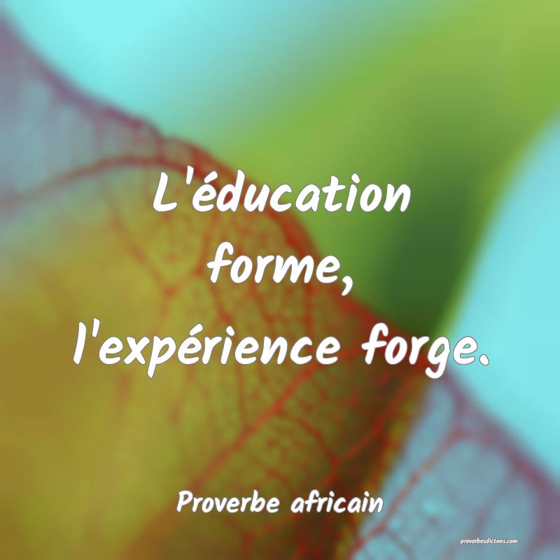 L'éducation forme, l'expérience forge.