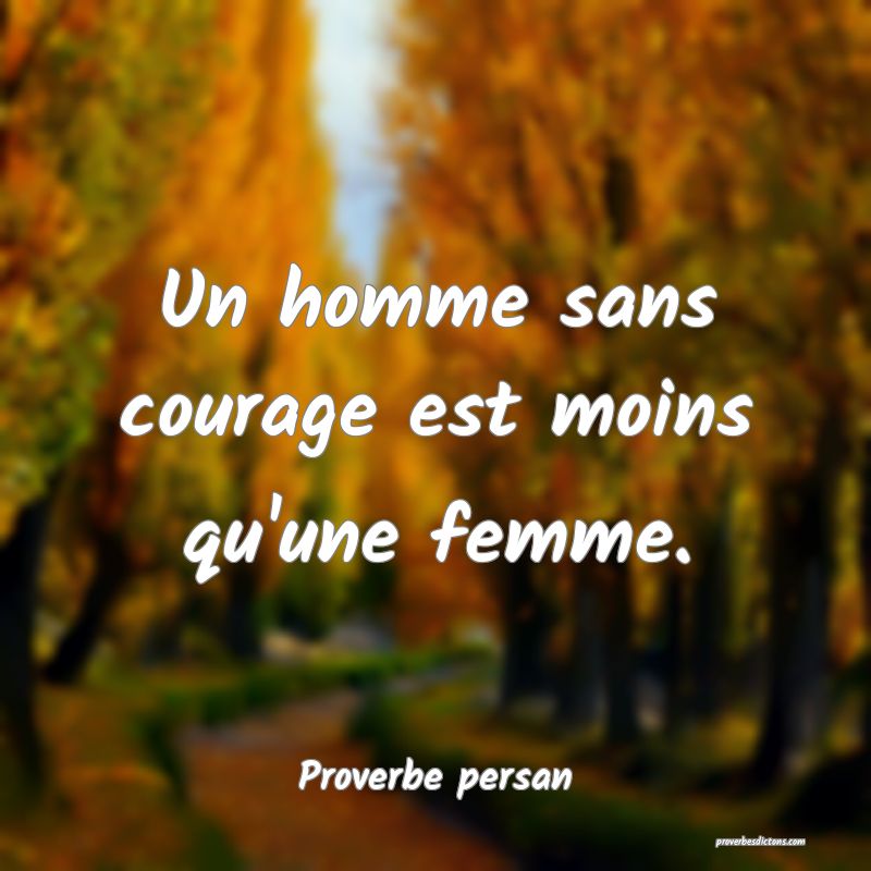 Un homme sans courage est moins qu'une femme.