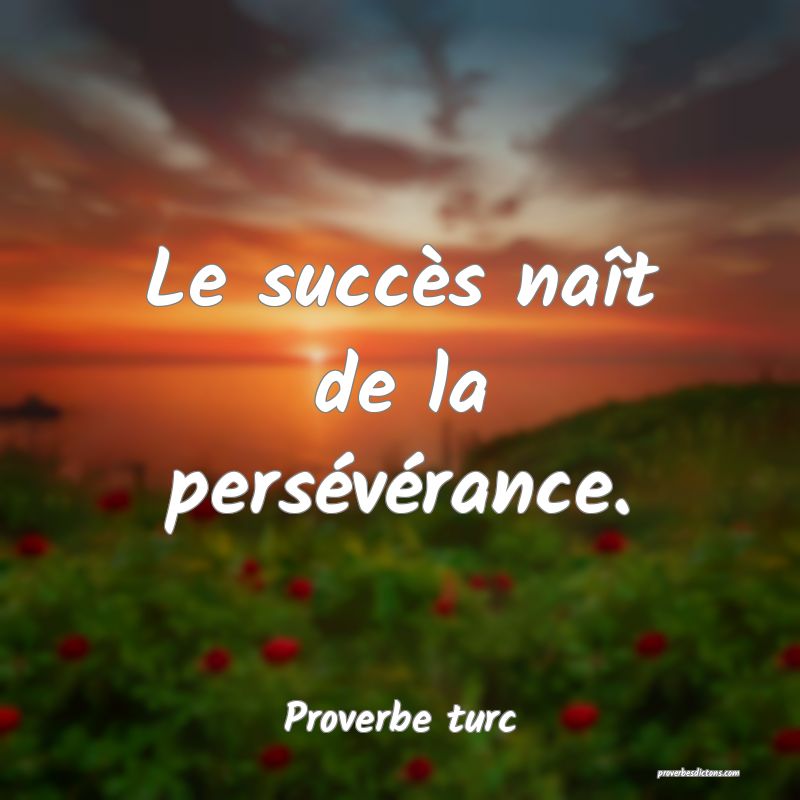 Le succès naît de la persévérance.