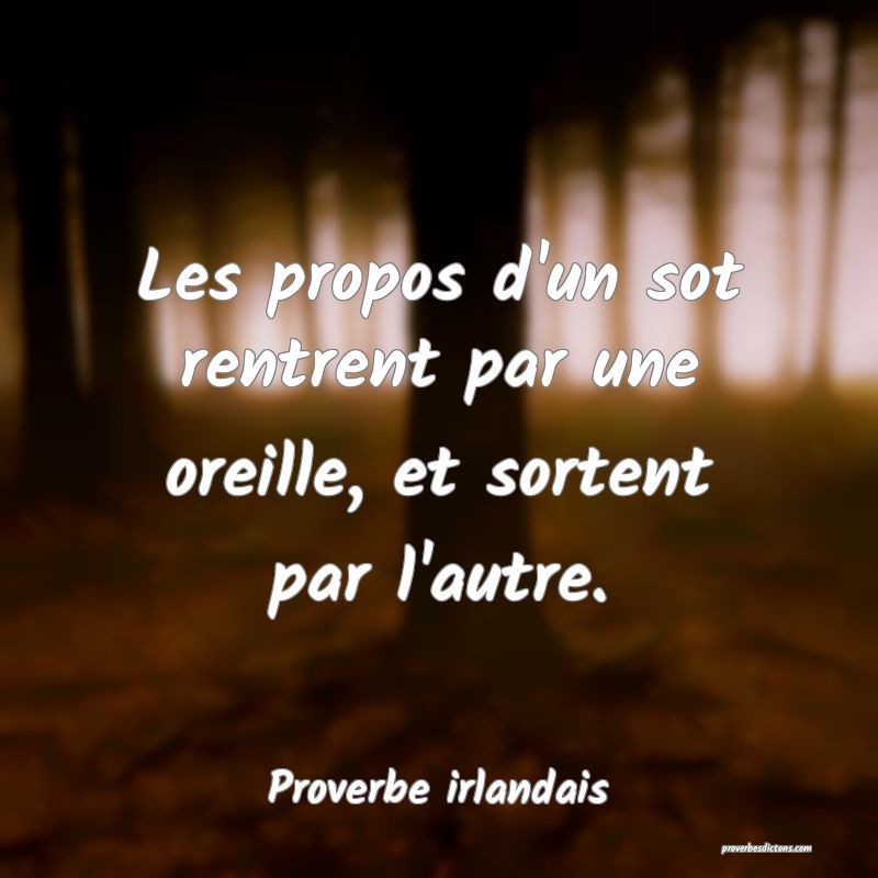 Les propos d'un sot rentrent par une oreille, et sortent par l'autre.