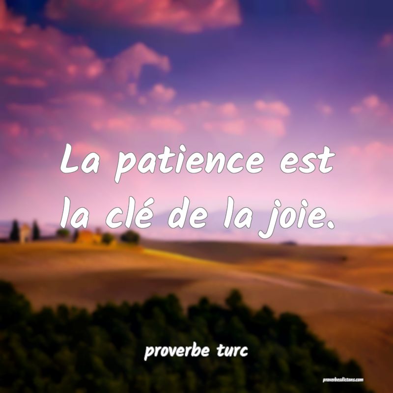  La patience est la clé de la joie.