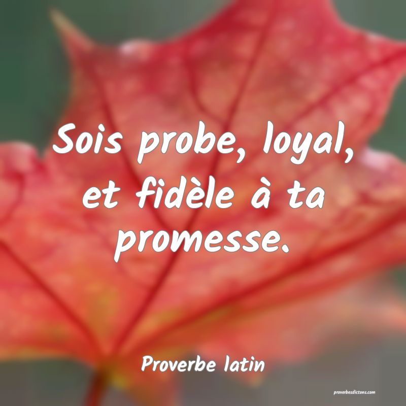 Sois probe, loyal, et fidèle à ta promesse.