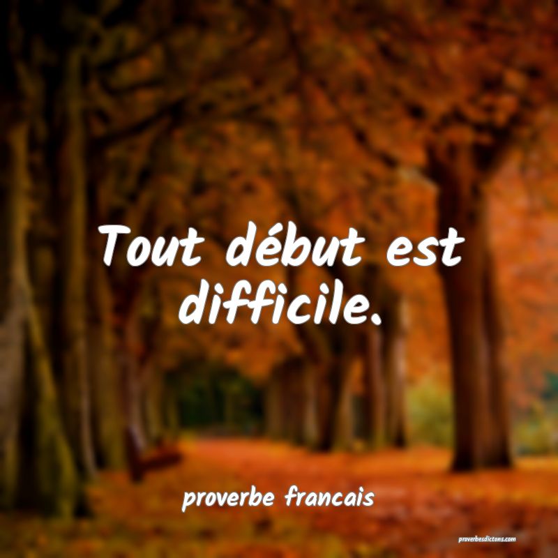  Tout début est difficile.