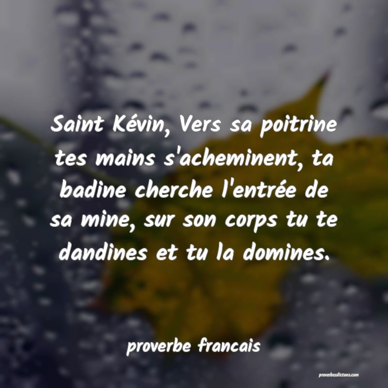 Saint Kévin, Vers sa poitrine tes mains s'acheminent, ta badine cherche l'entrée de sa mine, sur son corps tu te dandines et tu la domines.
