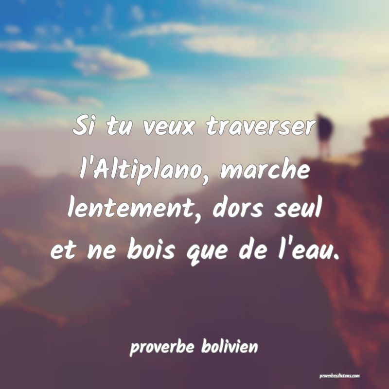  Si tu veux traverser l'Altiplano, marche lentement, dors seul et ne bois que de l'eau.