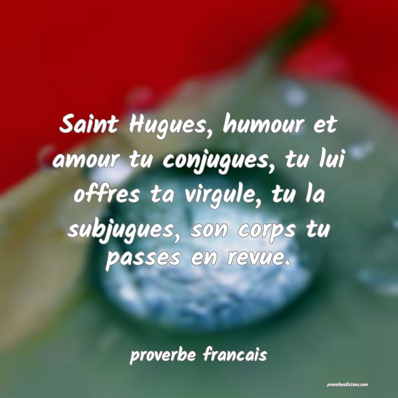  Saint Hugues, humour et amour tu conjugues, tu lui offres ta virgule, tu la subjugues, son corps tu passes en revue.