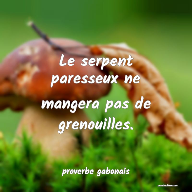  Le serpent paresseux ne mangera pas de grenouilles.